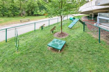 Dog park